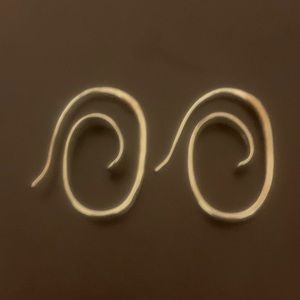 James Avery sterling silver hoops.